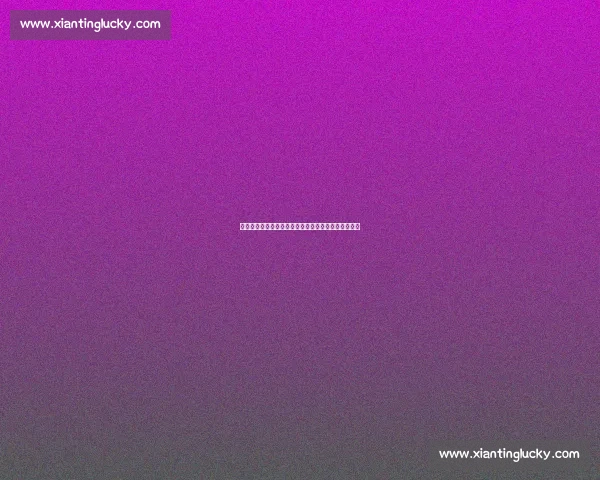 黄曼巴的闪电传奇：罗伊用流畅与绝杀镌刻的篮球绝响