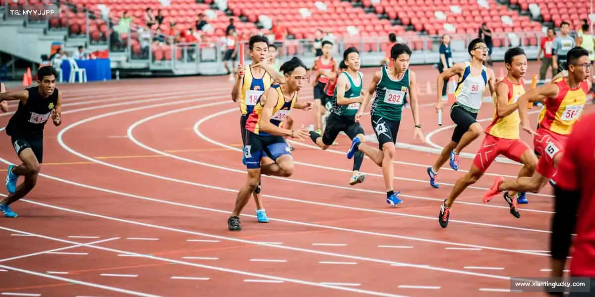 为什么选择我们